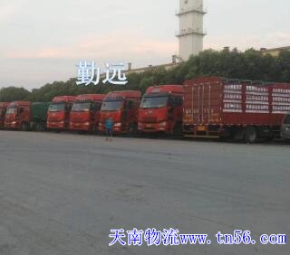 17.5板車(chē)?yán)蠹D片